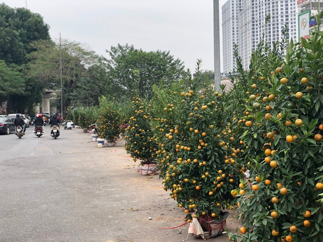 29 Tet: Tieu thuong ngu gat, dao quat e chong cho