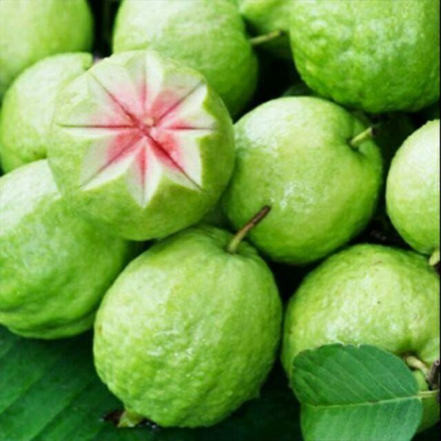 Nhung nguoi khong nen an oi boi 'cang an cang hai'