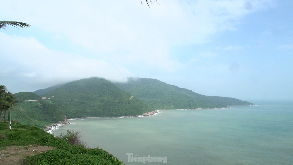  Bán đảo Sơn Trà nằm ở phía Đông Bắc thành phố Đà Nẵng, được ví như “kho báu" thiên nhiên, lá phổi xanh của thành phố.