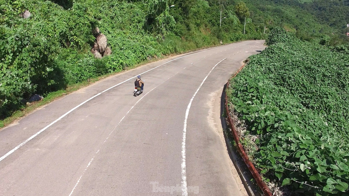 Du lịch bán đảo Sơn Trà là hoạt động không chỉ thu hút khách du lịch mà còn là mối quan tâm lớn của các nhà khoa học.