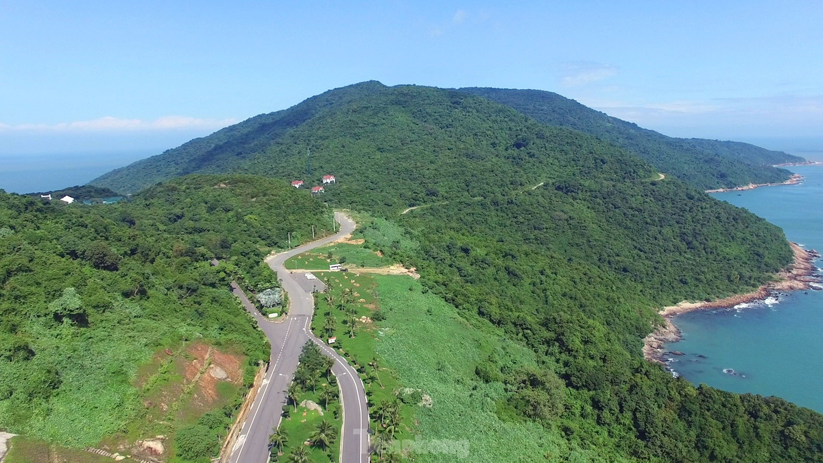 br/> Du lịch bán đảo Sơn Trà có sức hấp dẫn lớn, nơi đây có hệ sinh thái động thực vật đa dạng, chứa đựng nhiều “câu chuyện” chưa được kể hết.