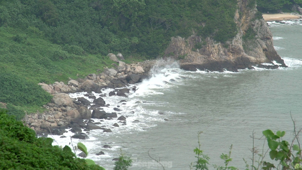 Chỉ cách trung tâm thành phố khoảng 10 km về phía Đông Bắc, du lịch bán đảo Sơn Trà hấp dẫn du khách bởi những bãi biển lớn nhỏ tuyệt đẹp, rừng cây rợp bóng và hệ sinh thái rừng tự nhiên đa dạng, phong phú.