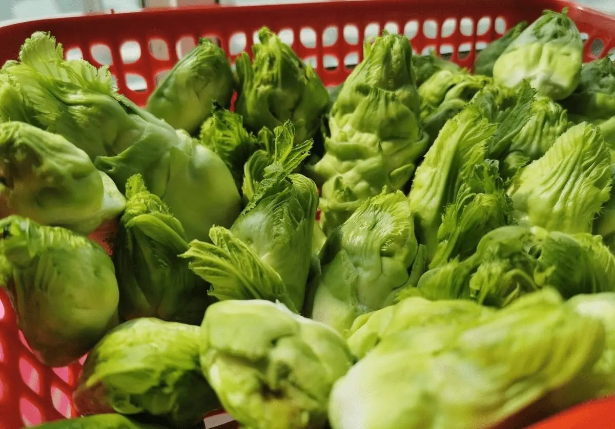 Rau mam da giau dinh duong nhung de mua nham sang rau Trung Quoc-Hinh-3