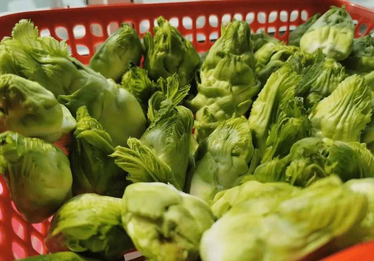 Rau mam da giau dinh duong nhung de mua nham sang rau Trung Quoc-Hinh-3