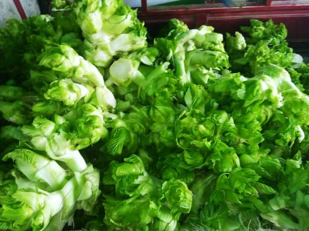 Rau mam da giau dinh duong nhung de mua nham sang rau Trung Quoc