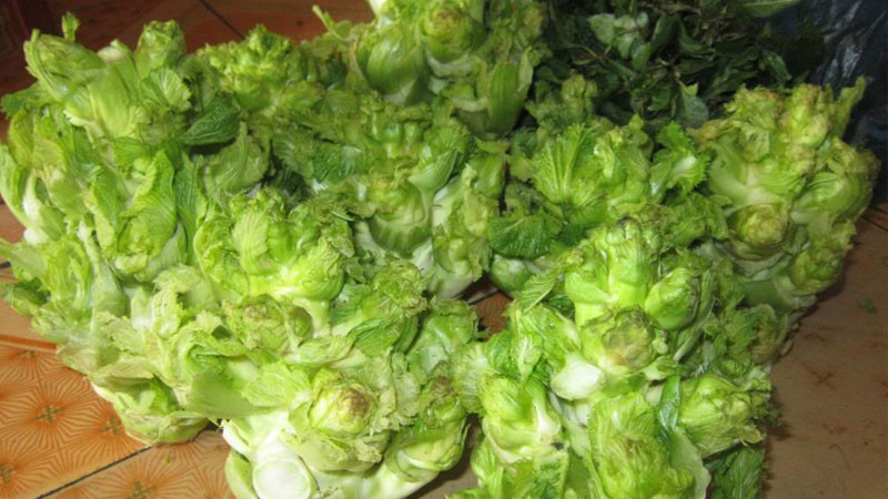 Rau mam da giau dinh duong nhung de mua nham sang rau Trung Quoc-Hinh-9