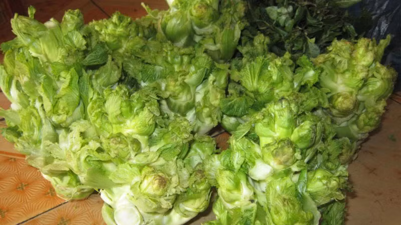 Rau mam da giau dinh duong nhung de mua nham sang rau Trung Quoc-Hinh-9