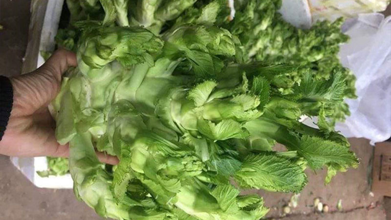 Rau mam da giau dinh duong nhung de mua nham sang rau Trung Quoc-Hinh-10