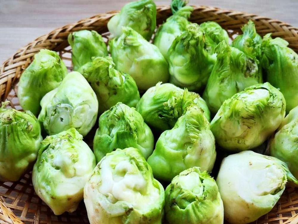 Rau mam da giau dinh duong nhung de mua nham sang rau Trung Quoc-Hinh-4