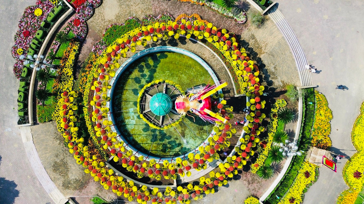 ‘Trum cuoi’ linh vat rong o Quang Ngai xuat hien nhan mua loi khen yAhoo 28-Hinh-13