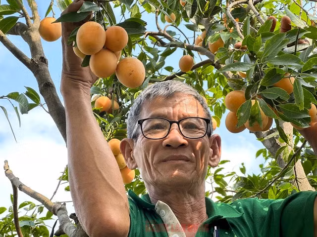 Bi quyet trong thanh tra ngot cua lao nong o mien Tay-Hinh-5