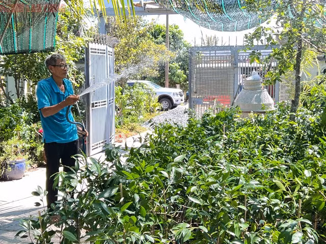 Bi quyet trong thanh tra ngot cua lao nong o mien Tay-Hinh-10