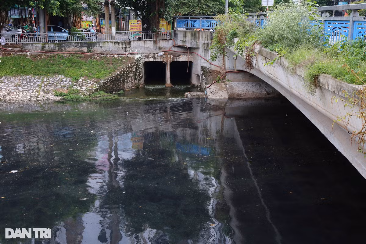 Sông Tô Lịch được gọi là dòng sông chết do nguồn nước ô nhiễm nặng, không còn tôm cá sinh sống. Ngày nay, đoạn sông lộ thiên chỉ còn khoảng gần 14km, bắt nguồn từ các cống lớn, nhỏ, sau đó đổ vào sông Nhuệ.