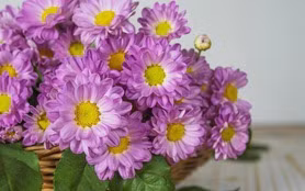 Mua xuan rac loc: 3 con giap cuoi thang 1 duoc Than Tai goi ten-Hinh-2