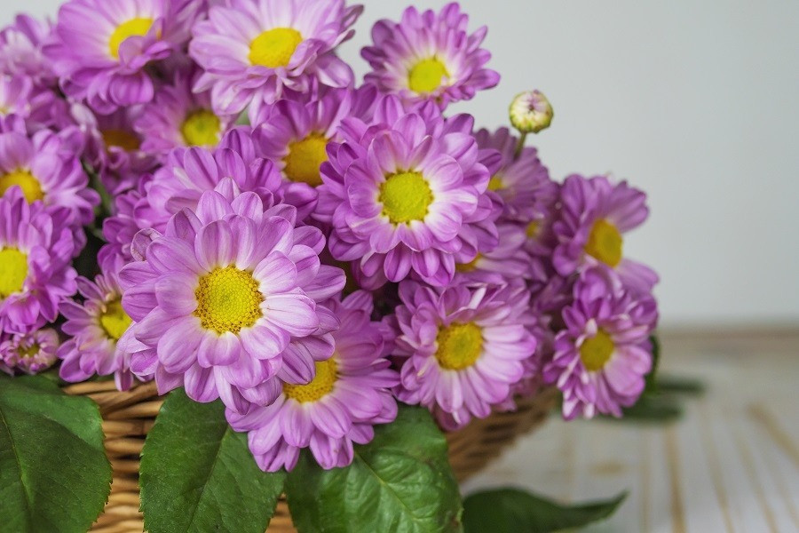 Mua xuan rac loc: 3 con giap cuoi thang 1 duoc Than Tai goi ten-Hinh-4