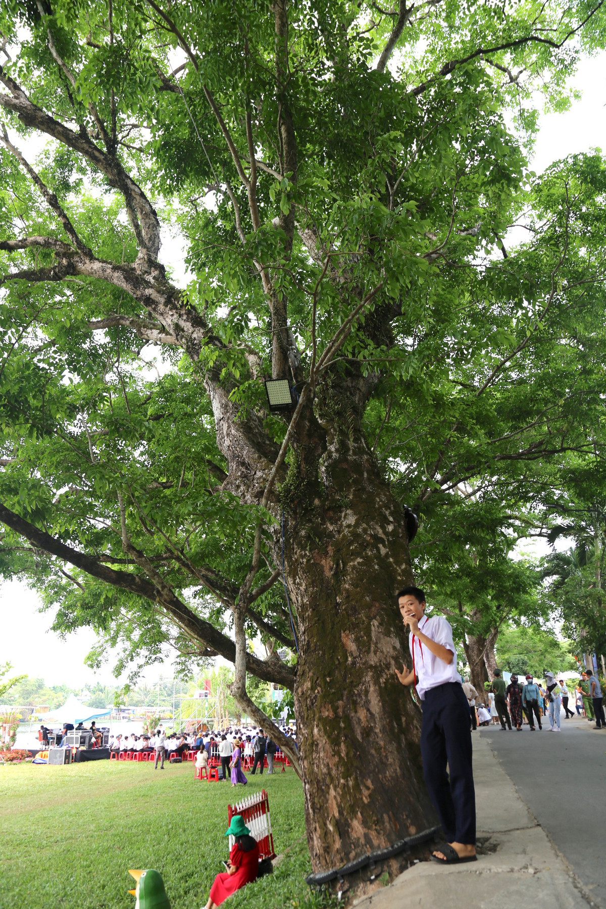 Ngam quan the 9 cay giang huong an tram tuoi o Quang Nam-Hinh-7