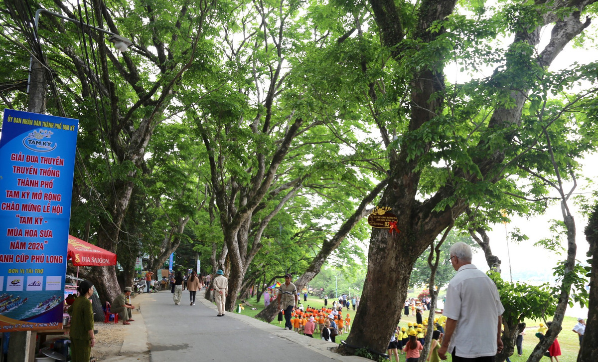 Ngam quan the 9 cay giang huong an tram tuoi o Quang Nam-Hinh-11