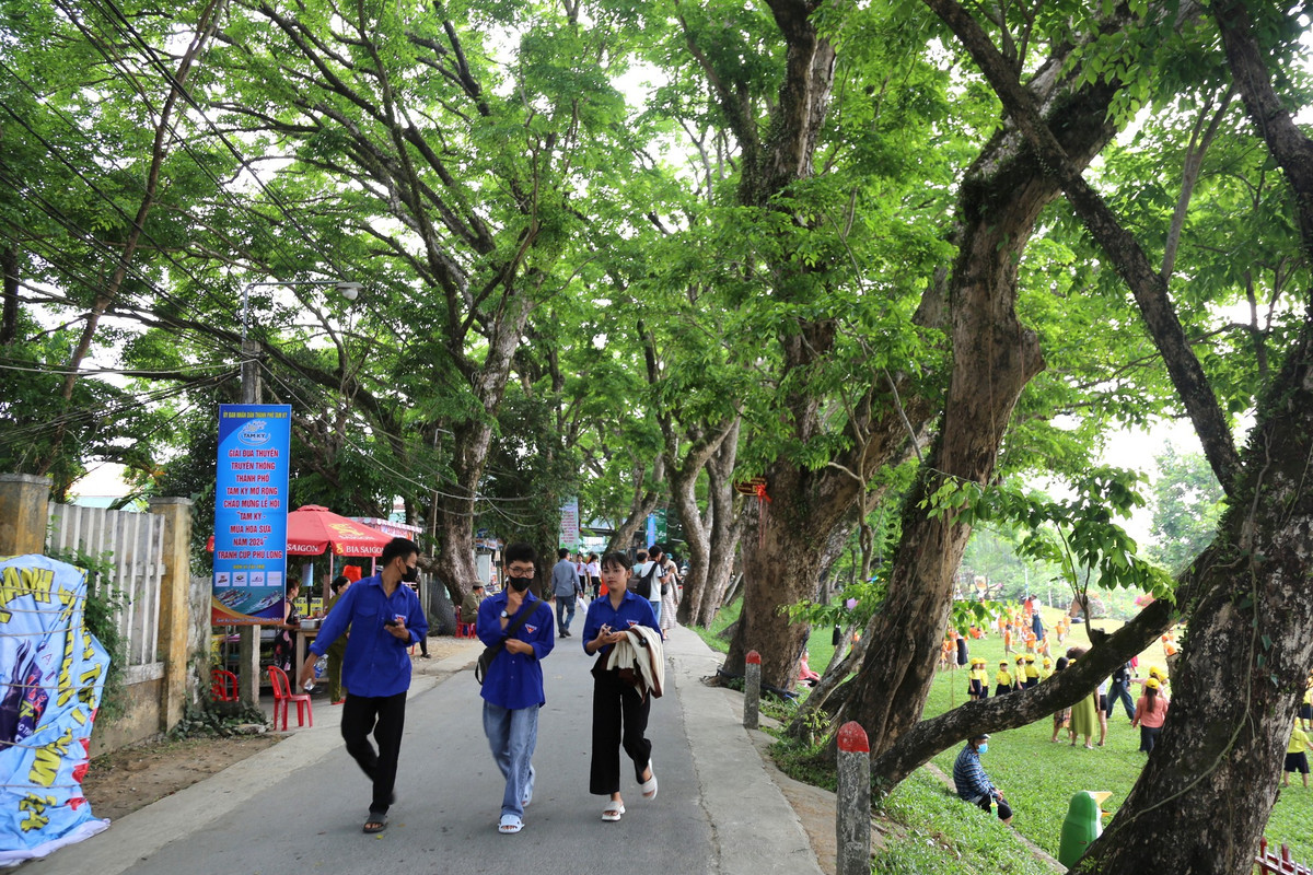 Ngam quan the 9 cay giang huong an tram tuoi o Quang Nam-Hinh-2