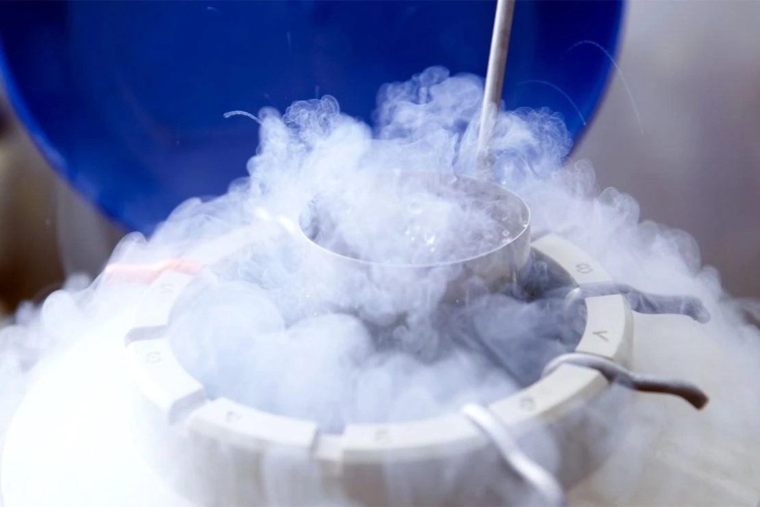 Su that ve tru dong trung-Hinh-3