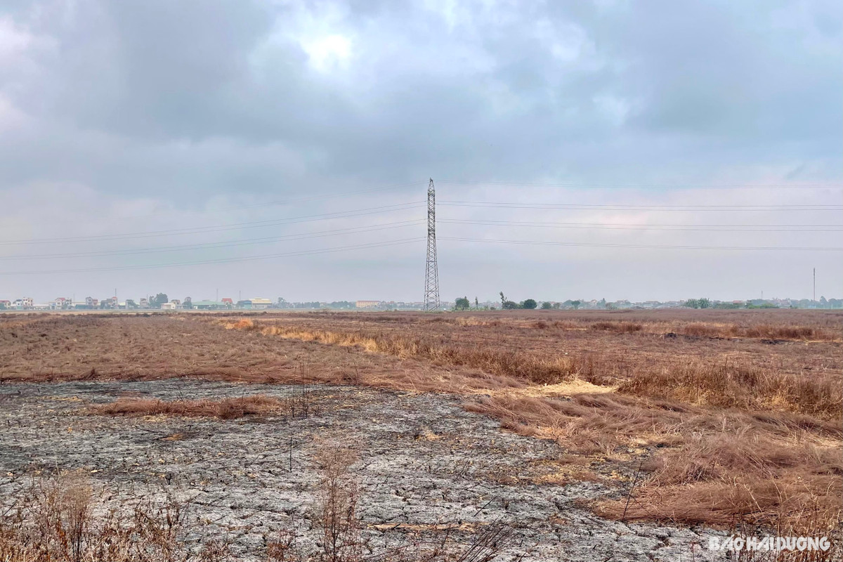 Check-in tai ruong co chay o xa Cam Vu- can than mot dieu-Hinh-3