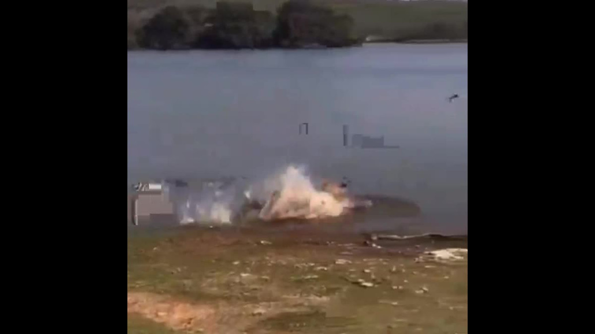 Video: Khoảnh khắc săn rùa độc đáo của hổ Video: Khoanh khac san rua doc dao cua ho