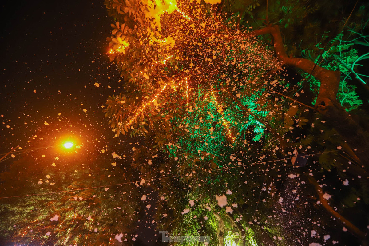 Tại đây, hai máy phun tuyết được bố trí trên cao để phục vụ du khách đến đón Giáng sinh.