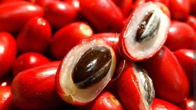 Luu y khi an qua than ky khien moi thuc an deu co vi ngot-Hinh-2