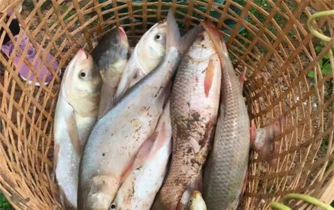 Truoc khi chet, Luu Ba On muon nhan nhu Chu Nguyen Chuong dieu gi?-Hinh-5