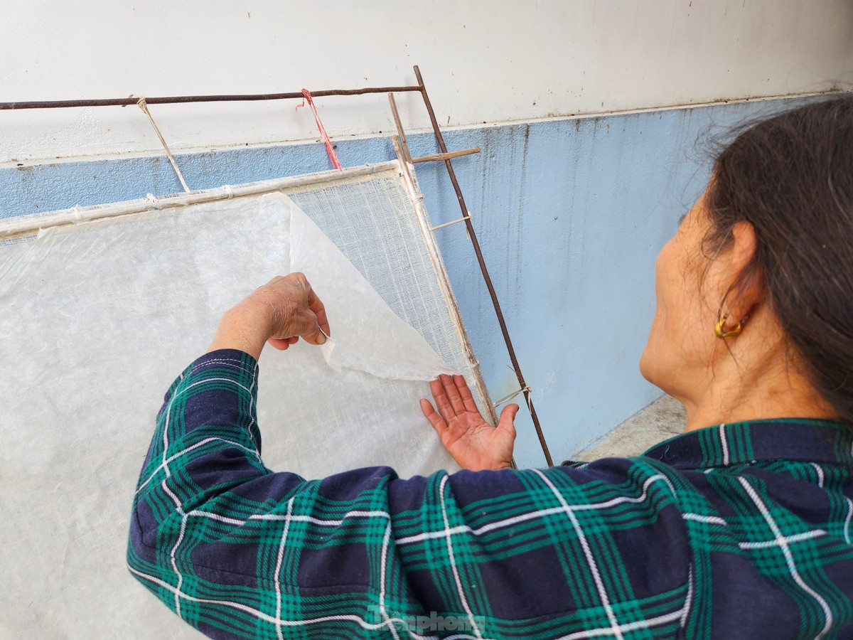 Sau nhiều giờ đồng hồ phơi nắng, gió, những tấm giấy mỏng đã được hình thành trên khuôn. Bà Hải cho hay công đoạn gỡ giấy ra không nặng nhọc nhưng rất quan trọng và phải thật khéo léo. Nếu người nào không quen việc, gỡ làm giấy rách thì coi như mất công sức làm cả buổi trời.