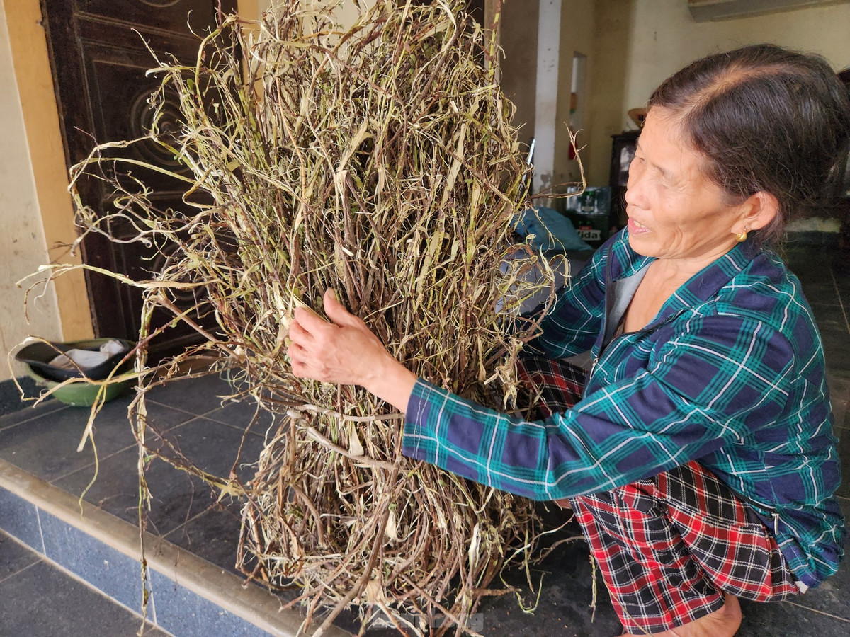 Bà Hải cho biết để làm ra giấy dó mất rất nhiều công đoạn và nguyên liệu. Trong đó nguyên liệu chính để làm ra giấy dó chính là vỏ từ cây Niệt. Những cây Niệt thường mọc ở ngoài cánh đồng và được vợ chồng bà Hải đi tìm khắp khu vực tỉnh Nghệ An, Hà Tĩnh để hái. Cứ vài tháng, vợ chồng bà Hải sẽ đi hái cây Niệt về cất dành, khi nào làm hết sẽ tiếp tục đi hái.