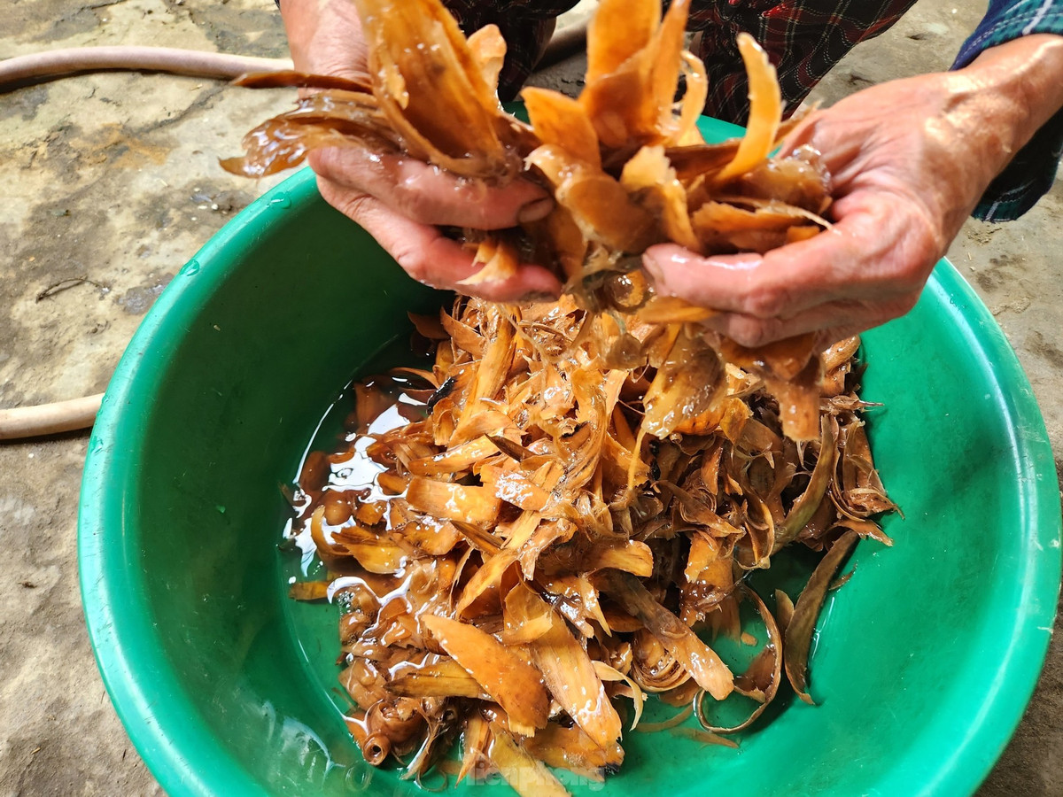 Thứ "phụ gia" trộn để làm giấy không thể thiếu là chất nhờn từ cây Bét Bét. Sau khi chặt cây Bét Bét về, bà Hải chặt nhỏ ngâm với nước để cho ra thứ chất nhờn.