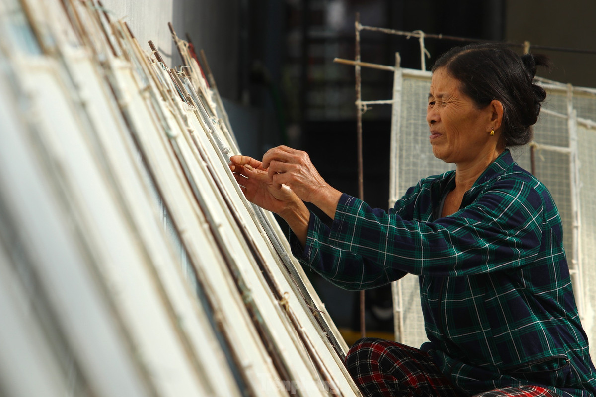 Tranh thủ những ánh nắng le lói mùa đông, bà Trương Thị Hải (SN 1963, trú xóm 3 Phong Phú, xã Nghi Phong, huyện Nghi Lộc, Nghệ An) đưa những tấm khuôn làm giấy dó ra phơi trước khoảnh sân nhỏ của gia đình. Đây là thành quả của bà Hải sau một buổi miệt mài làm giấy với đủ công đoạn khác nhau.