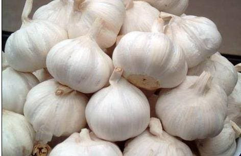 Ngam toi trong ruou trang co tac dung gi?