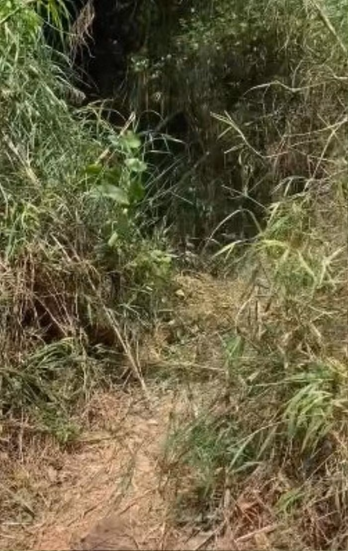 Cup dien, ca lang ru nhau tranh nong chi lo ngay ngay 1 dieu