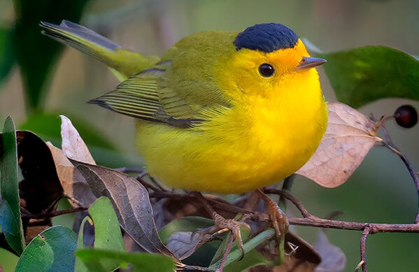 Ai sinh ngày Âm lịch này gặt hái nhiều phúc lộc Ai sinh ngay Am lich nay gat hai nhieu phuc loc