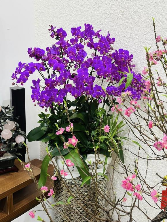 Ba xa nghe si Cong Ly decor goc ban cong cuc dep-Hinh-18