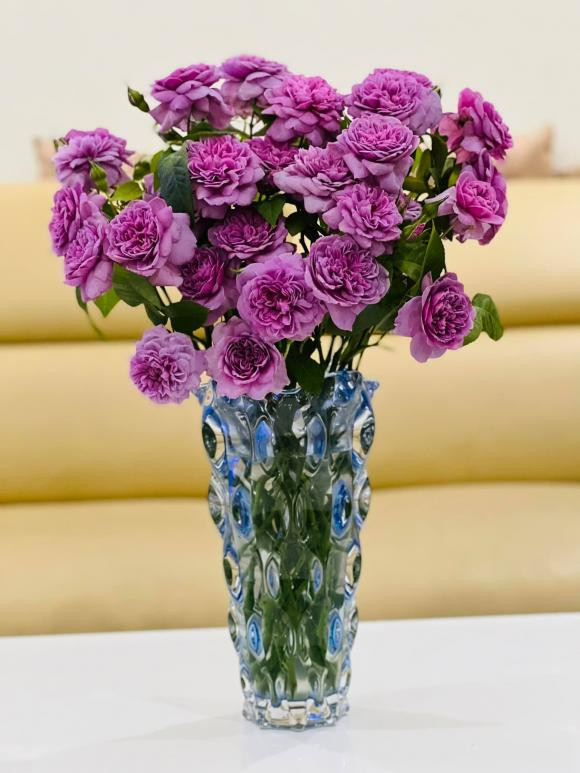 Ba xa nghe si Cong Ly decor goc ban cong cuc dep-Hinh-12