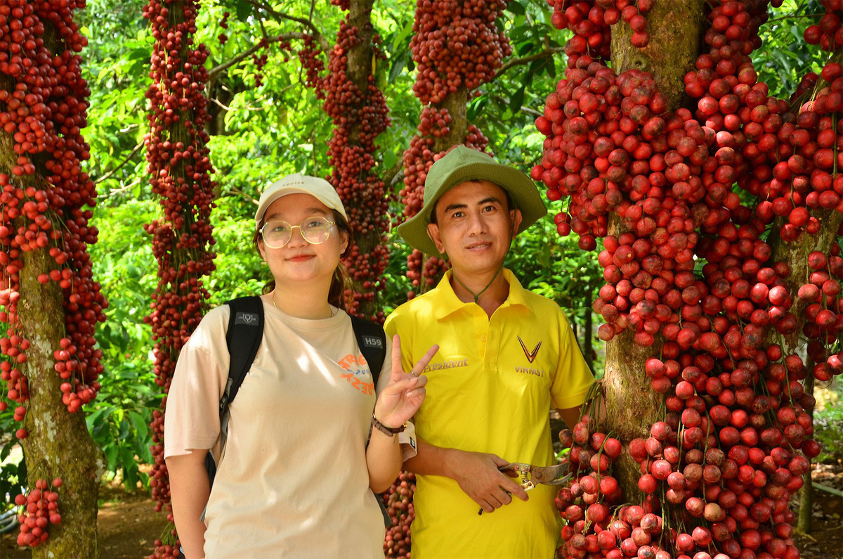 Đà Lạt thu nhỏ của xứ nẫu Da Lat thu nho cua xu nau