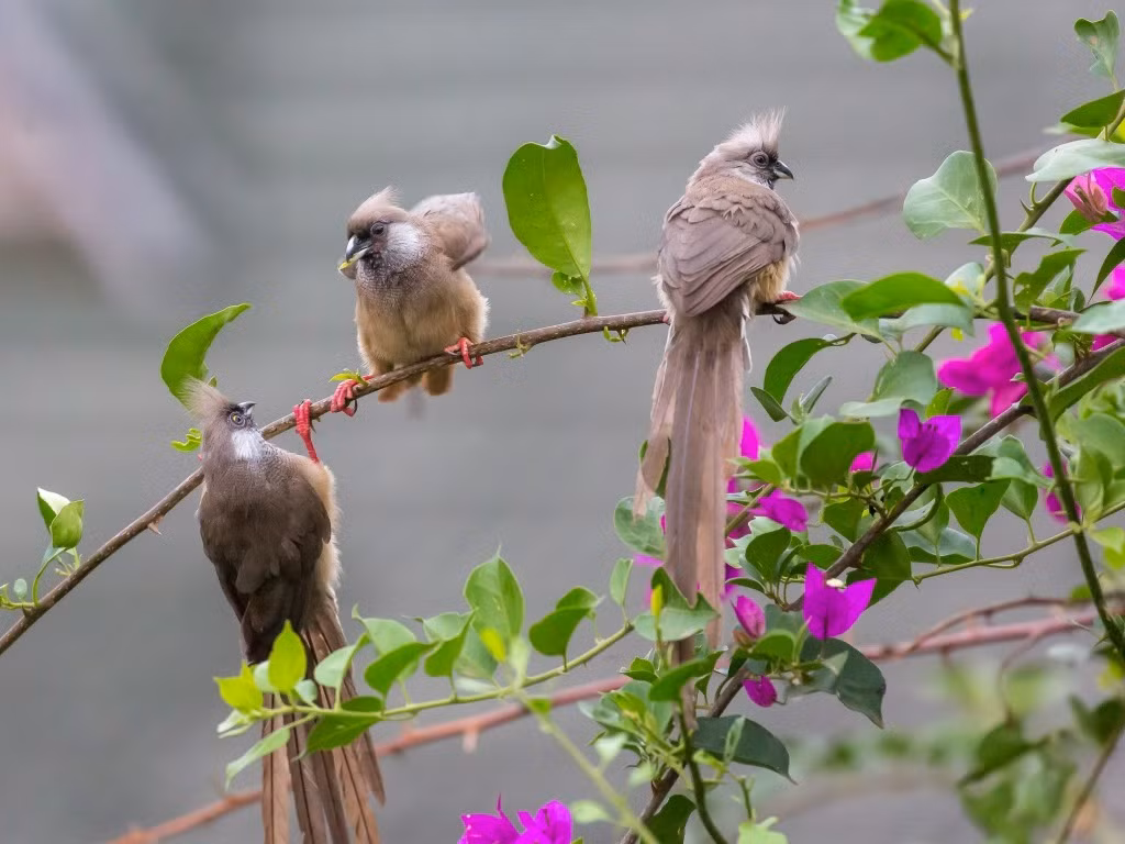 Ai sinh thang Am lich nay hoa giai moi kho khan, xui xeo-Hinh-3