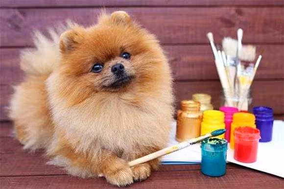 Tuan moi (23/1 - 29/1/2023): top 3 con giap khoi sac, tien bac day ap-Hinh-3