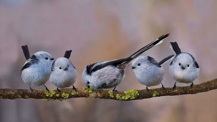 Sinh thang Am lich nay, phuc tu tren troi roi xuong-Hinh-2