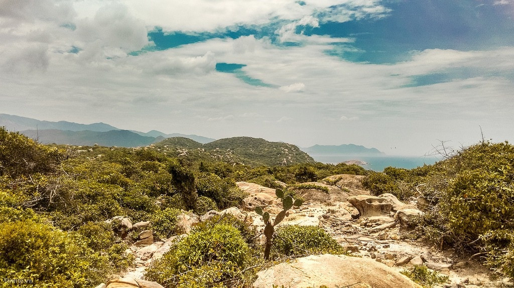 Ghe tham xu thap Cham dip 30/4-Hinh-5