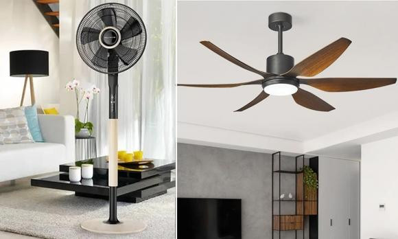 Mua he dung quat cay hay quat tran se tiet kiem dien hon?