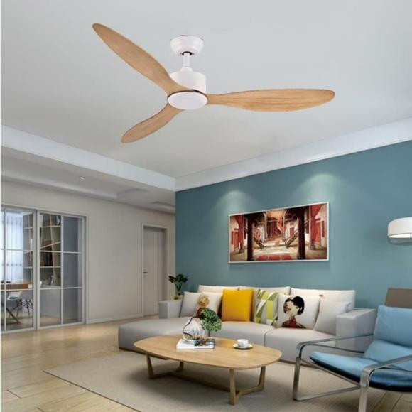 Mua he dung quat cay hay quat tran se tiet kiem dien hon?-Hinh-3