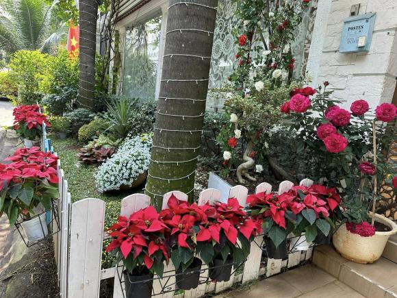 Vy Oanh trang tri biet thu long lay don Tet-Hinh-5