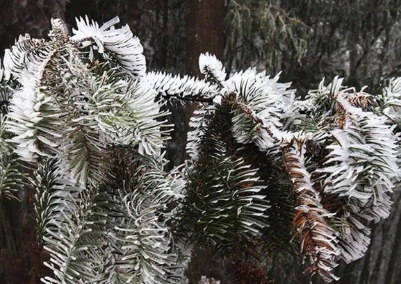 Mien Bac ret dam ret hai, vung nui cao co noi 0 do C