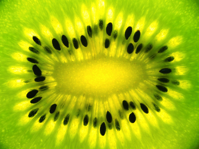 Them yeu va tran quy su song qua nhung tam anh macro-Hinh-6