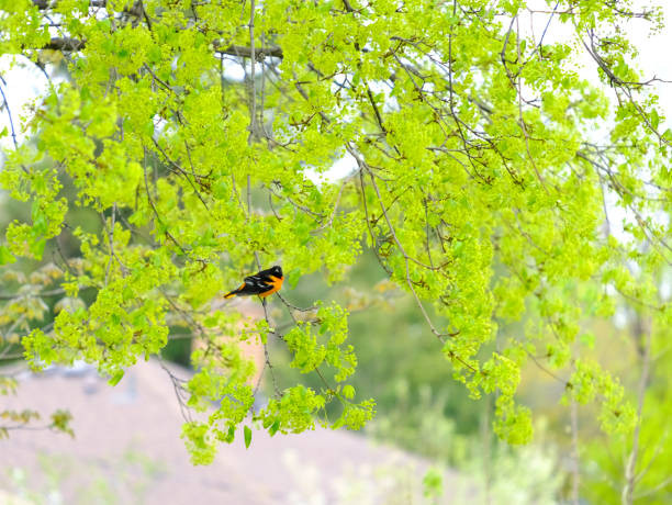 Sinh vao ngay Am lich nay, sau 40 tuoi tien tai du da-Hinh-3