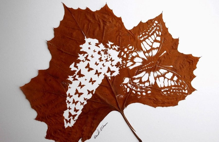 Am tham bo 5 vat nay vao vi dau nam de tai loc doi dao-Hinh-4