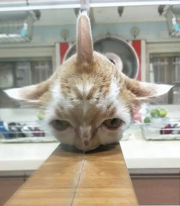 8. Con quái vật có sừng.